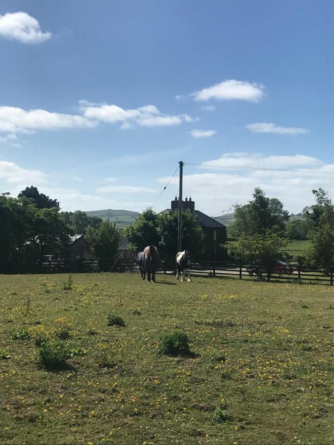 Fennor Park Lodge Oldcastle
